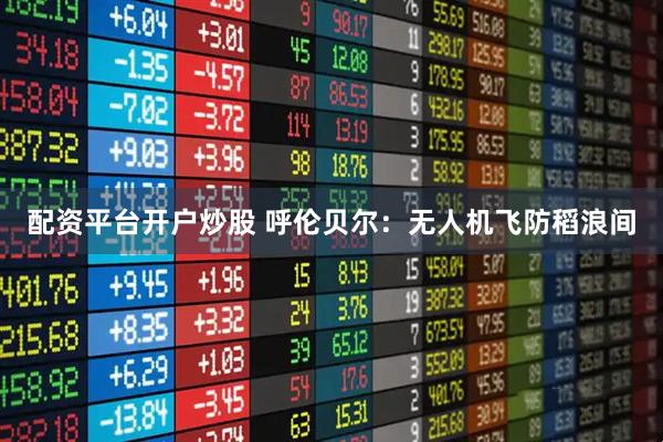 配资平台开户炒股 呼伦贝尔:无人机飞防稻浪间